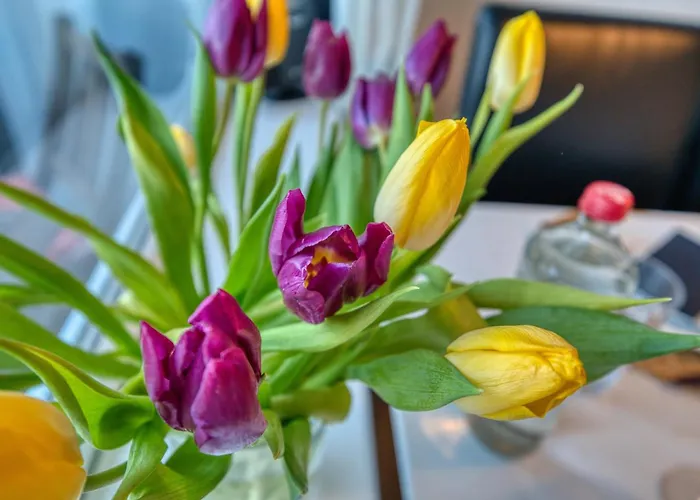 شقة - Haus C, App 0c1107 هايليغنهافن